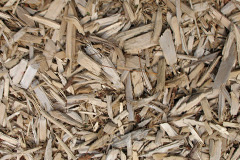 biomass boilers Mortehoe